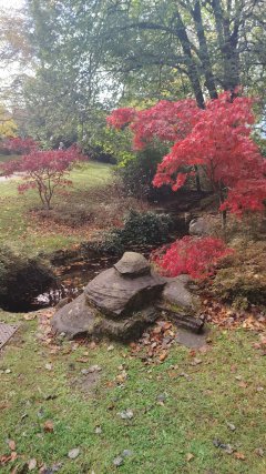 Service : service a personne Service : service a personne